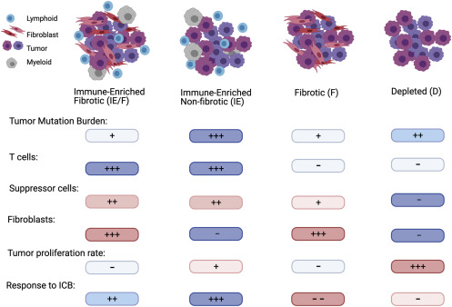 A tumor “personality” test to guide therapeutic decision making